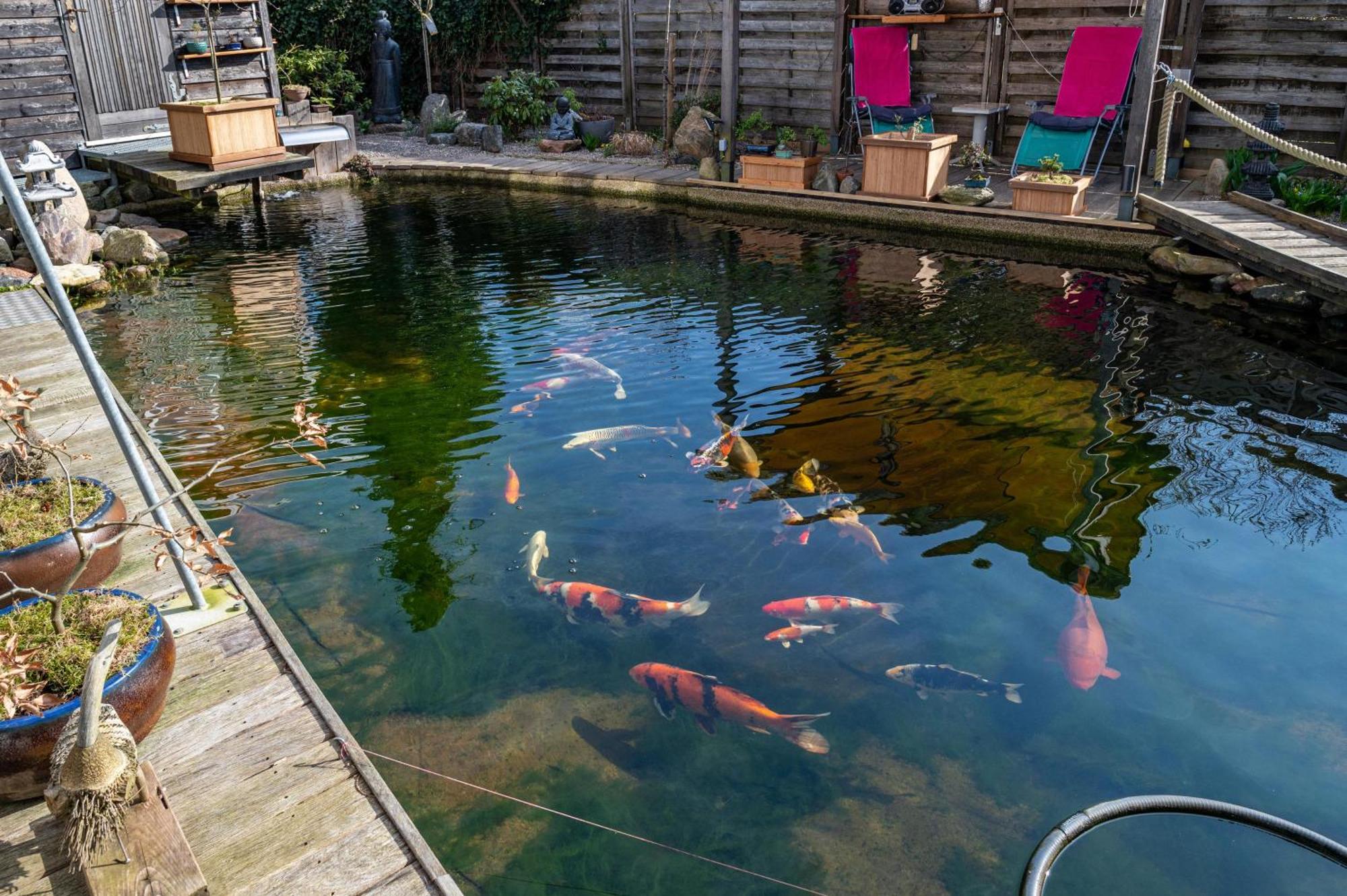 Am Teich Apartment Butzow Luaran gambar